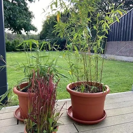 Kleines Einzelzimmer Nr. 5 In * Kleve (Dusseldorf)