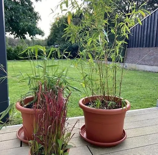 Kleines Einzelzimmer Nr. 5 In * クレーフェ